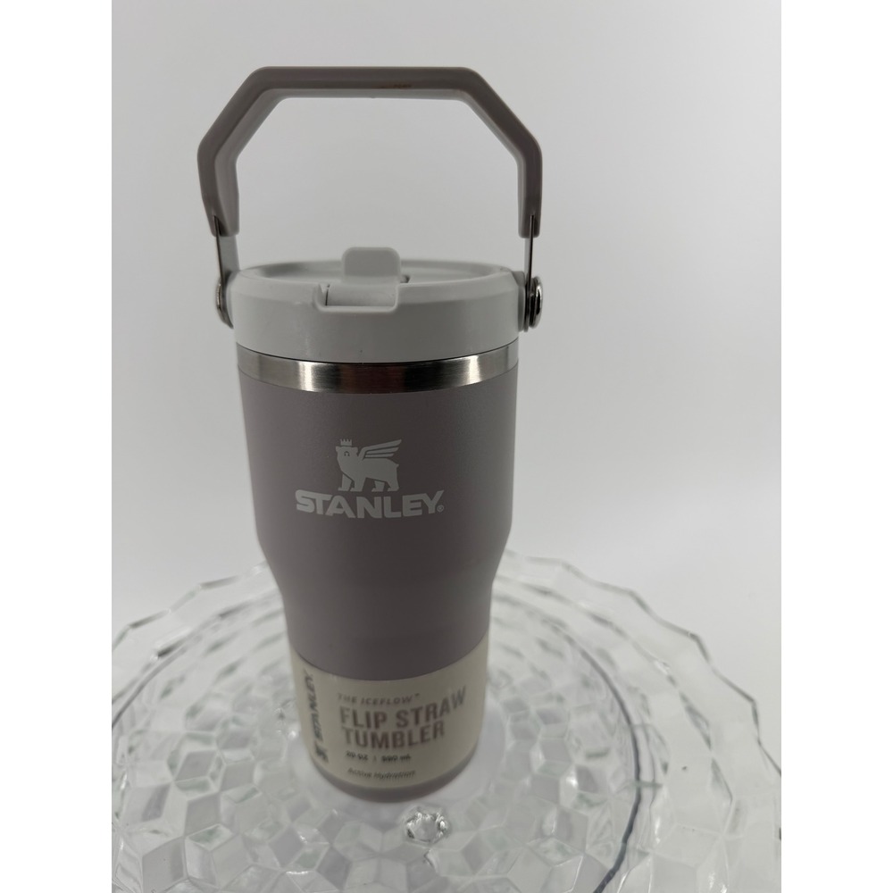 Stanley IceFlow Flip Straw Tumbler 20oz Ash Gray Stainless Steel 10-12044-009